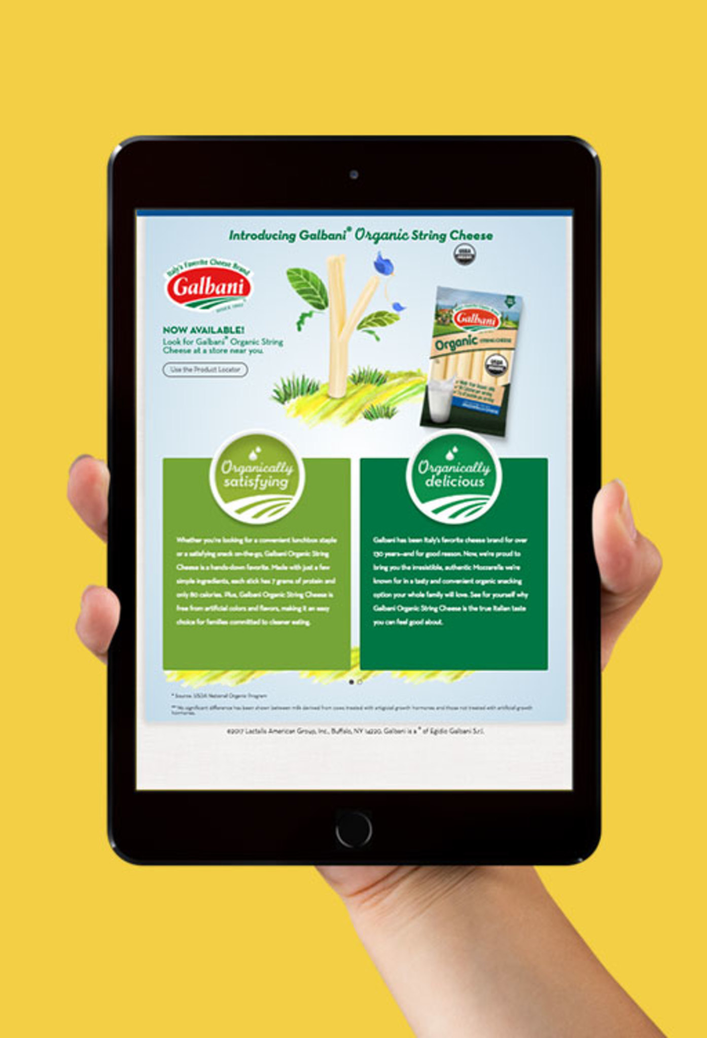 Galbani®: Campaign Landing Pages
