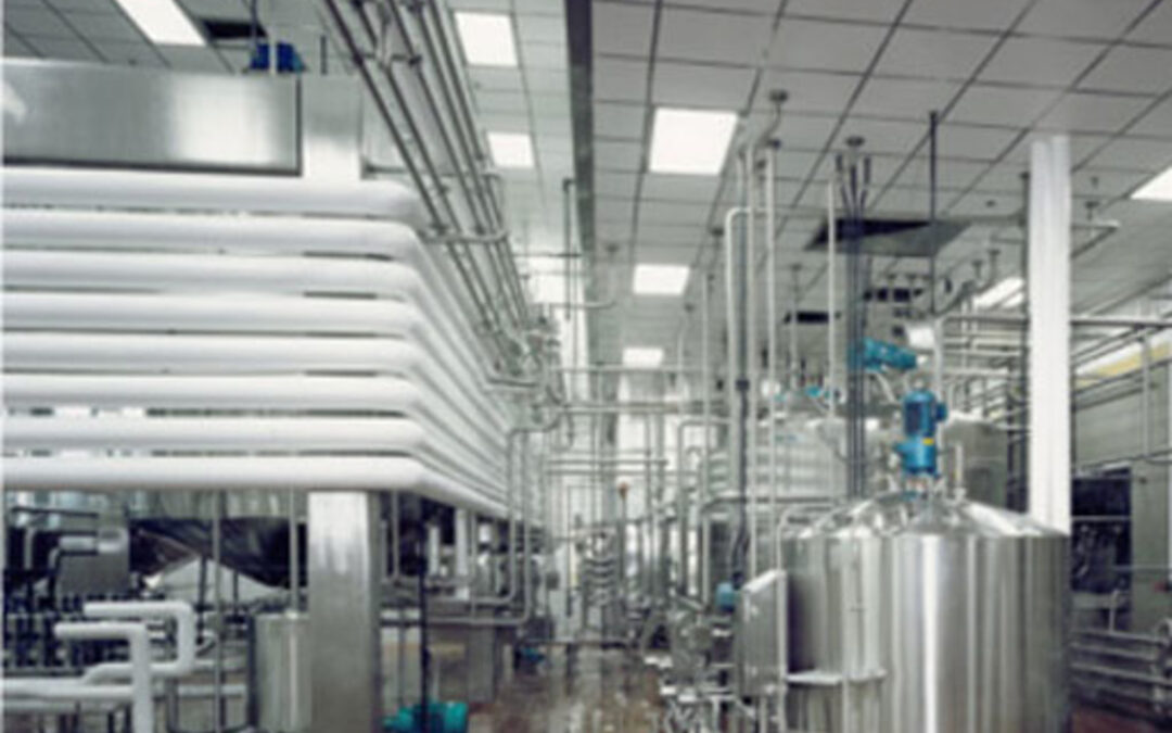 Steuben Foods