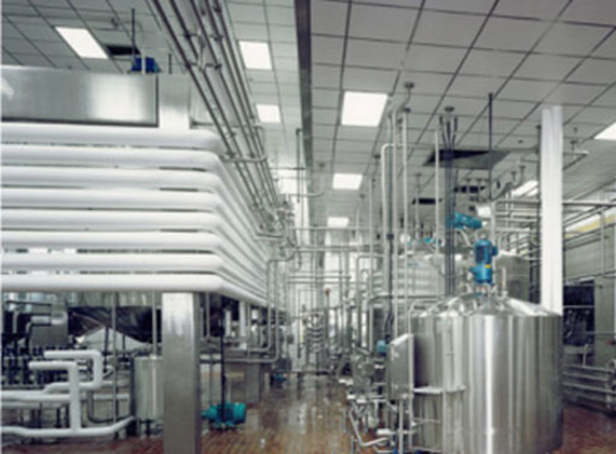 Steuben Foods