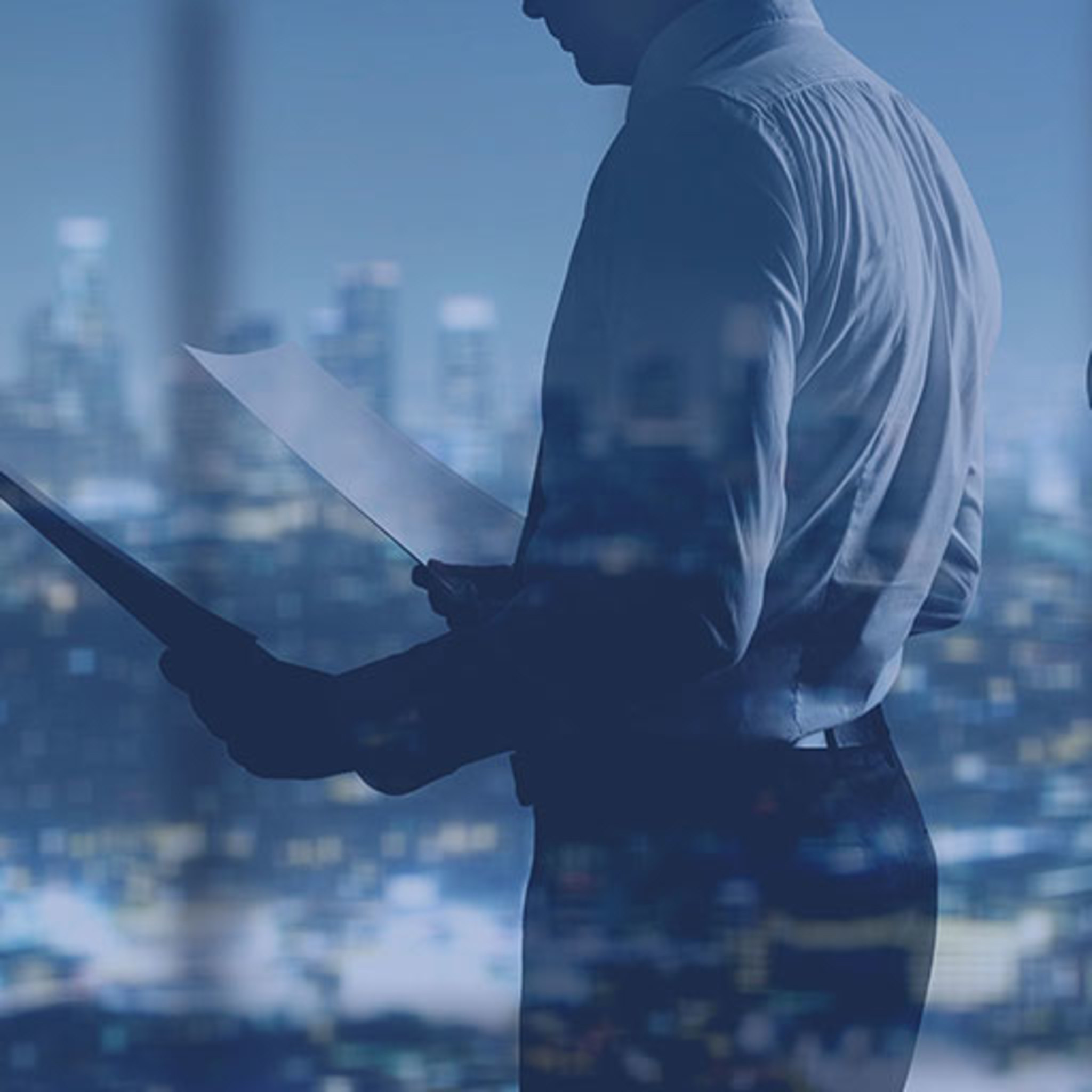 Trade Risk Group