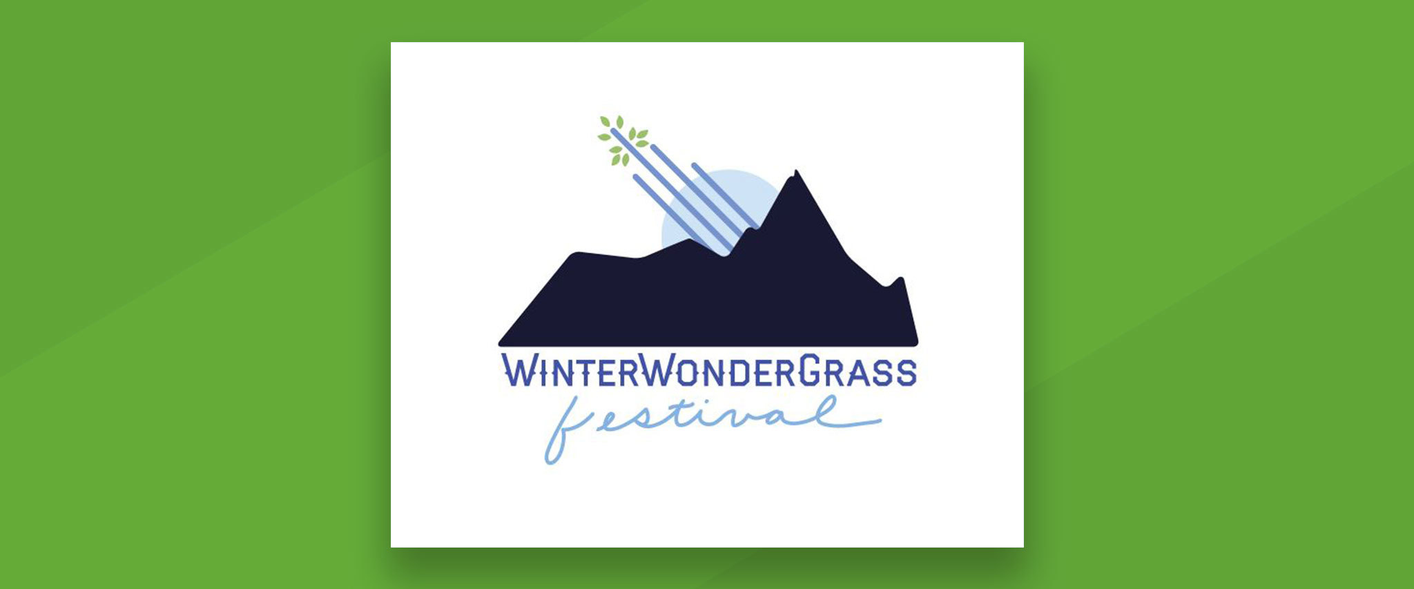 WinterWonderGrass Festival Gallery