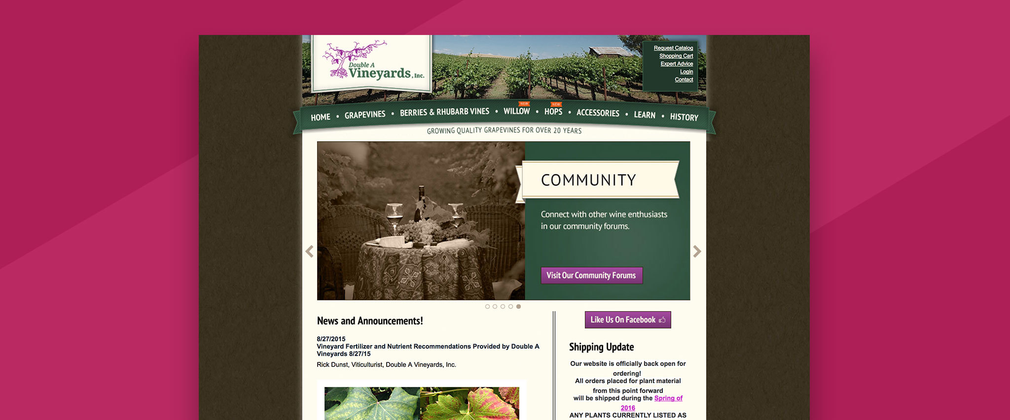 Double A Vineyards Gallery